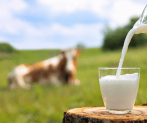 Wie gesund ist Milch wirklich?