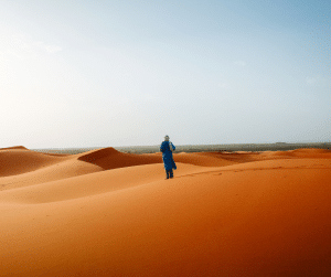 Die Wüste lebt – Auf den Spuren der Beduinen